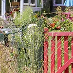 Wildlife Haven