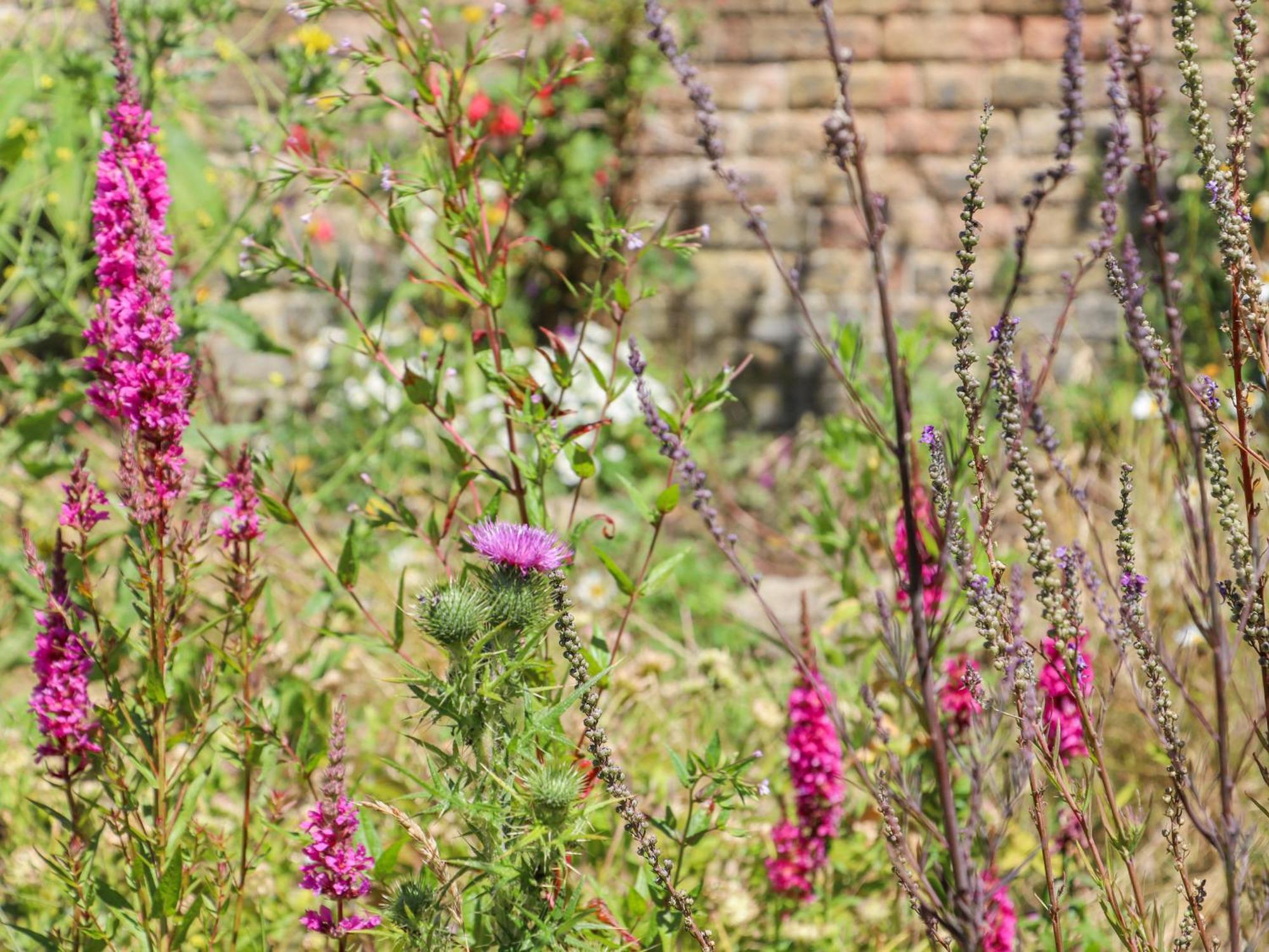 Wildlife Haven Margate