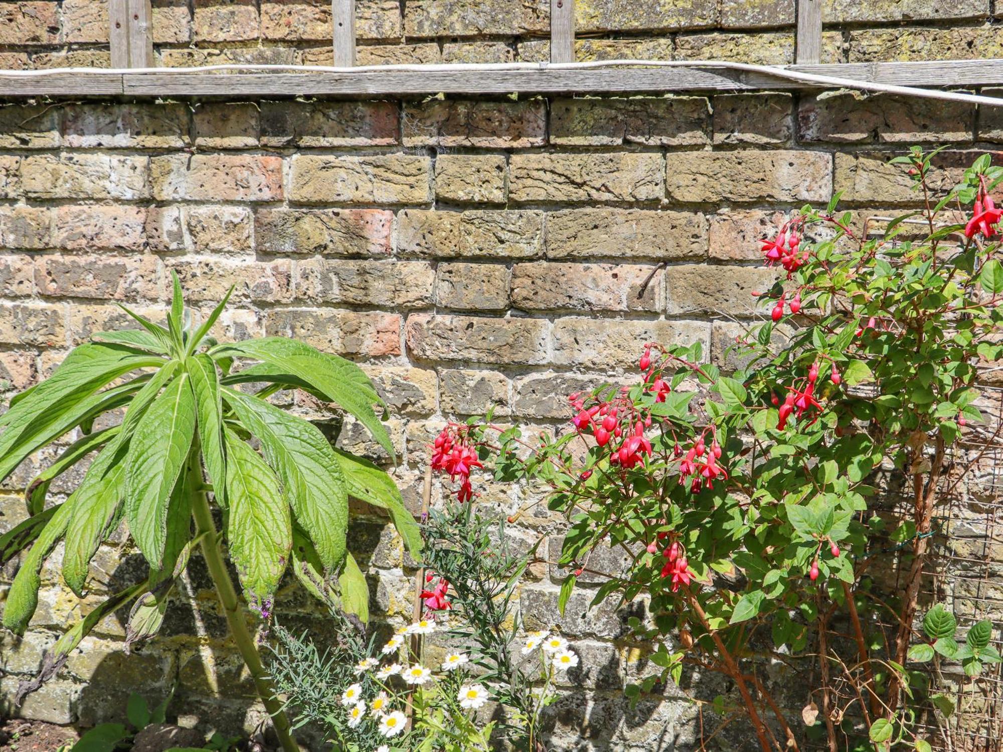 Wildlife Haven Holiday home Margate